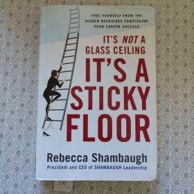 It's A Sticky Floor     Rebecca Shambaugh 英语进口原版