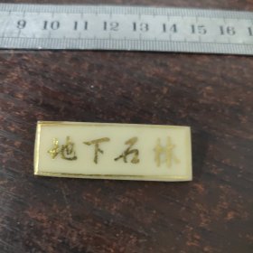 地下石林章