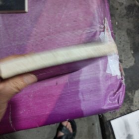 中国知青终结