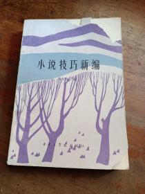 小說技巧新編