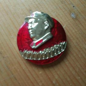 毛主席像章，欢呼世界进入伟大的毛泽东思想新时代