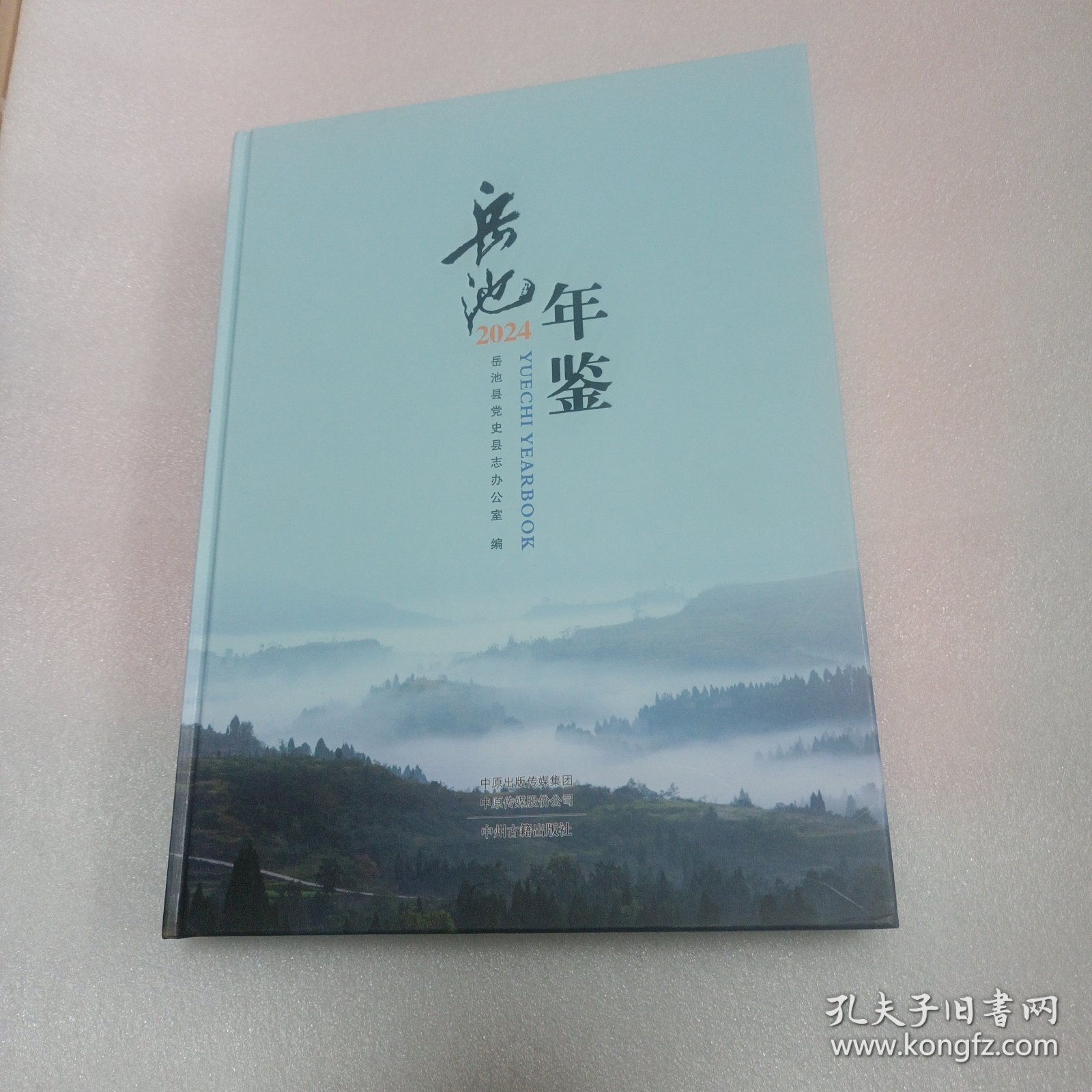 岳池年鉴2024