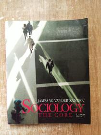 SOCIOLOGY THE CORE