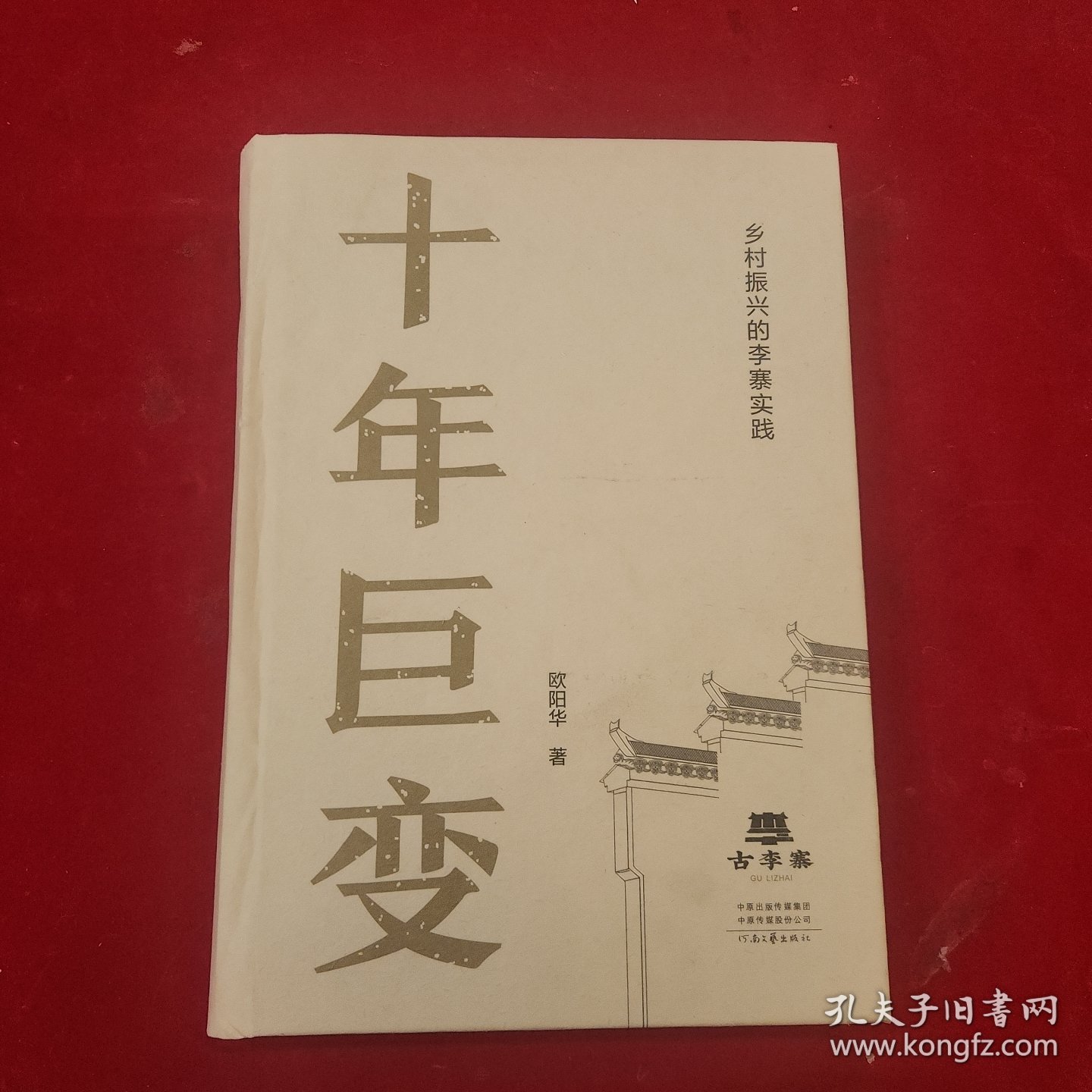 十年巨变:乡村振兴的李寨实践