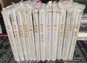 福克纳作品（喧哗与骚动 我弥留之际 押沙龙，押沙龙 去吧，摩西 野棕榈 寓言 村子 大森林 福克纳随笔 福克纳短篇小说集 全12卷13册）