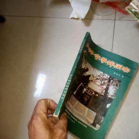 少林寺拳棒阐宗