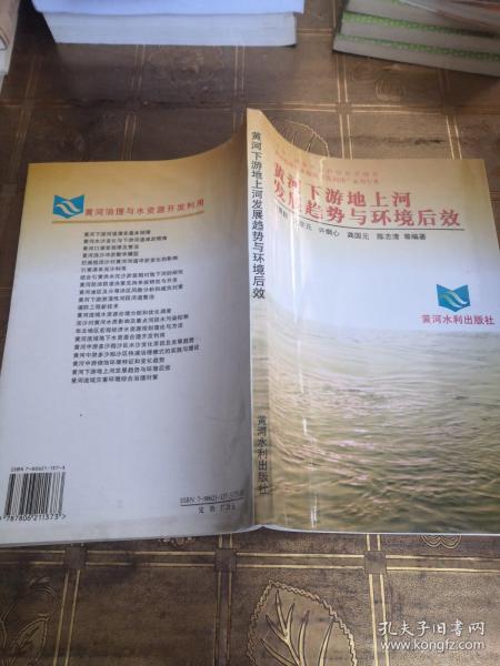 黄河下游地上河发展趋势与环境后效——“八五”国家重点科技攻关项目“黄河治理与水资源开发利用”系列专著