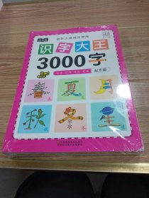 幼儿学前识字大王3000字全套6册 幼小衔接一日一练全套识字教材