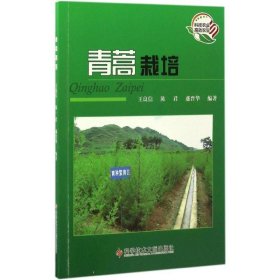 青蒿栽培