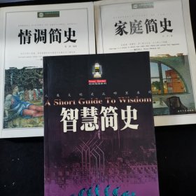 《智慧简史》《家庭简史》《情调简史》