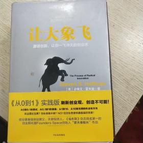 让大象飞:激进创新，让你一飞冲天的创业术