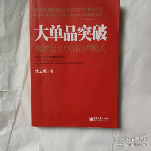 大单品突破——重新定义中国品牌模式