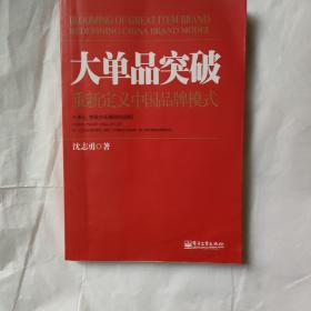 大单品突破——重新定义中国品牌模式