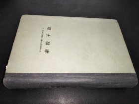 素粒子論（曰文版）