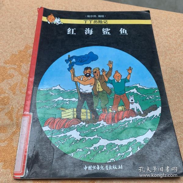 红海鲨鱼