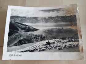 老照片，新疆赛里木湖畔猎人小屋两张