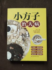 小方子治大病 中医书籍养生偏方大全民间老偏方美容养颜常见病防治 保健食疗偏方秘方大全小偏方老偏方中医健康养生保健疗法