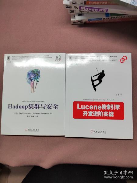 Hadoop集群与安全+Lucene搜索引擎开发进阶实战