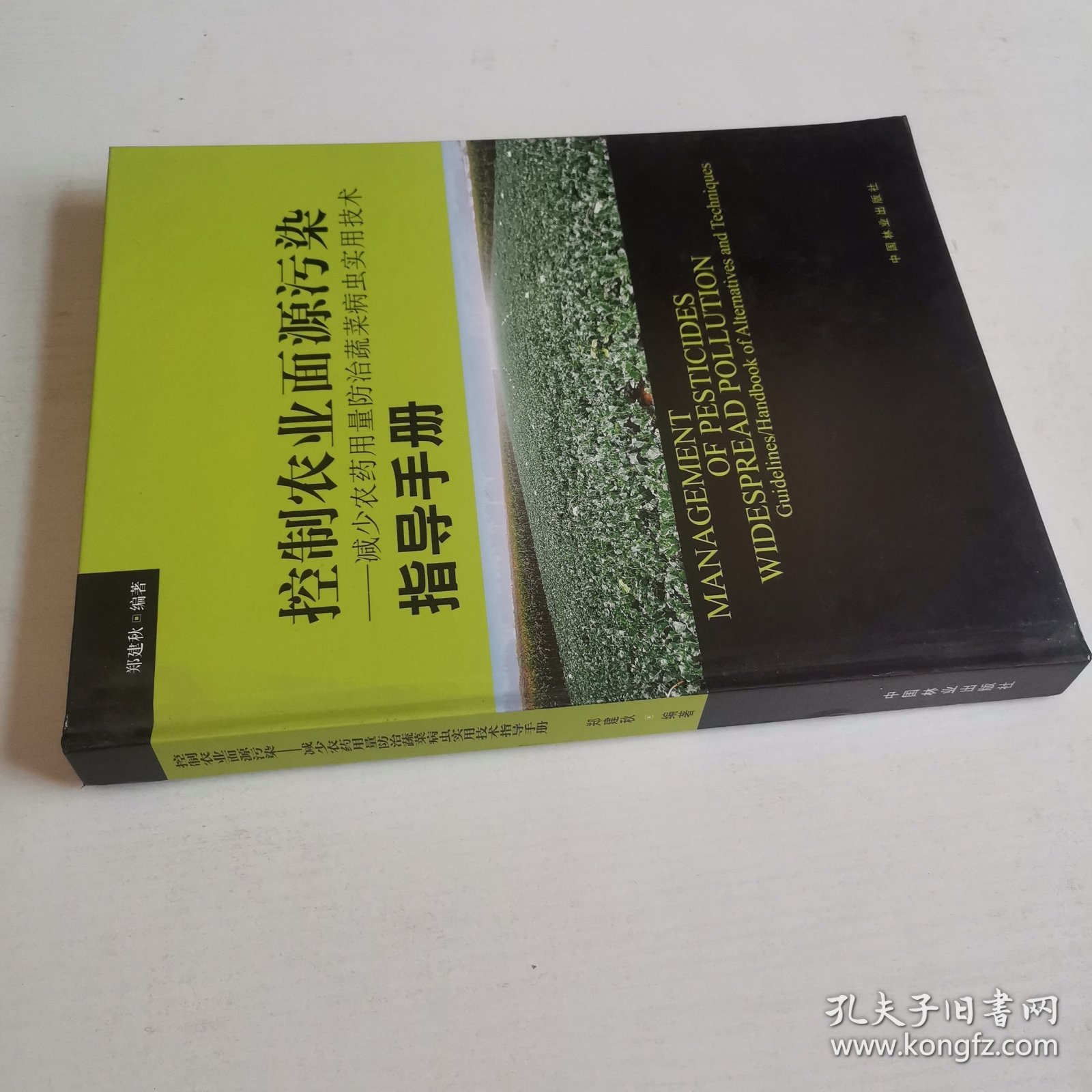 控制农业面源污染：减少农药用量防治蔬菜病虫实用技术指导手册