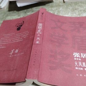 茅盾文学奖