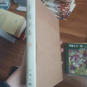 矛盾全集8 有护套 品不错 看图