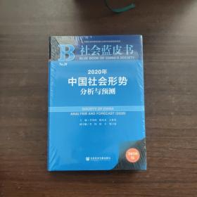 社会蓝皮书：2020年中国社会形势分析与预测