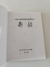 中国少数民族地区画集丛刊：新疆(铜版纸精装)