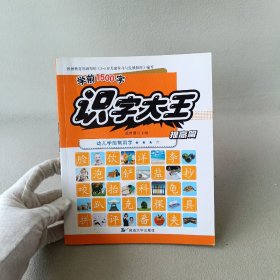 3-6岁识字大王幼儿学前常用字学前1500字（全4册）