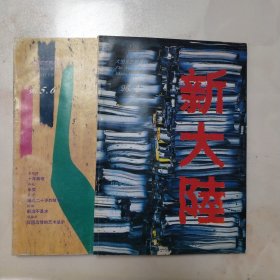新大陆1996年第四期，第五六期合刊 陕西版大型文艺双月刊