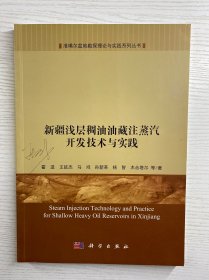 新疆浅层稠油油藏注蒸汽开发技术与实践（正版如图、内页干净）