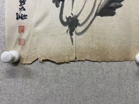 张大壮（1903—1980）浙江杭州人。原名颐，又名心源，后更名大壮，字养初，号养卢，别署富春山人。章炳麟（太炎）外甥。与江寒汀、唐云、陆抑非合为现代四大花鸟画家，被合称花卉画的四大名旦。