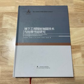 地下工程围岩加固技术与抗爆性能研究(精)/岩土工程地质力学模型试验理论与实践丛书