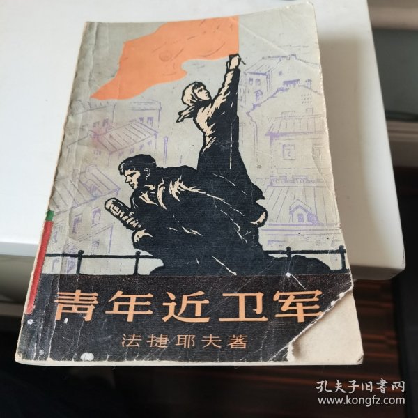 青年近卫军（一部）