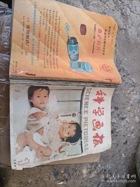 少年科学画报1985年1--9期全