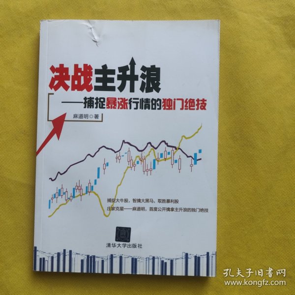 决战主升浪:捕捉暴涨行情的独门绝技