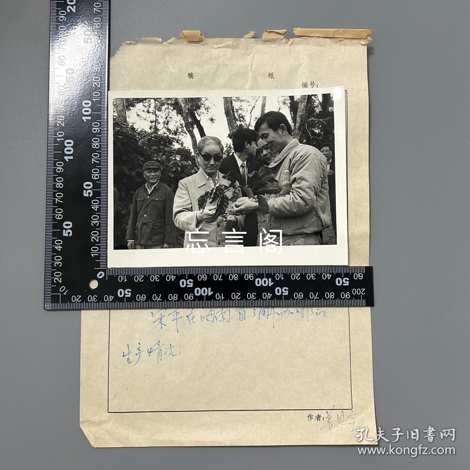 【老照片】新华社《瞭望周刊》旧藏照片底稿：宋平在海南省了解咖啡的生产情况 黑白照片1枚（大尺寸，清晰原照，姜恩宇摄影）