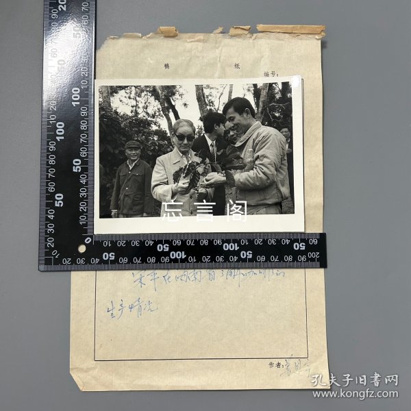 【老照片】新华社《瞭望周刊》旧藏照片底稿：宋平在海南省了解咖啡的生产情况 黑白照片1枚（大尺寸，清晰原照，姜恩宇摄影）