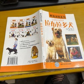 拉布拉多犬