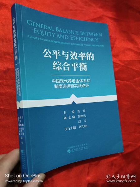 公平与效率的综合平衡--中国养老金体系的制度选择和实践路径