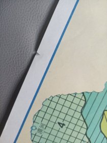 初级中学课本动物学教学挂图——我国的植物群落(全9幅)