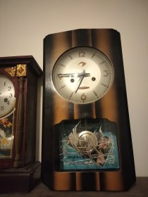 金杯挂钟 15天金鱼带鱼图案钟表