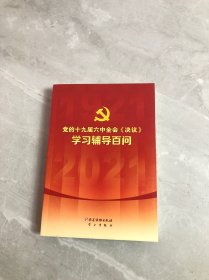 党的十九届六中全会《决议》学习辅导百问