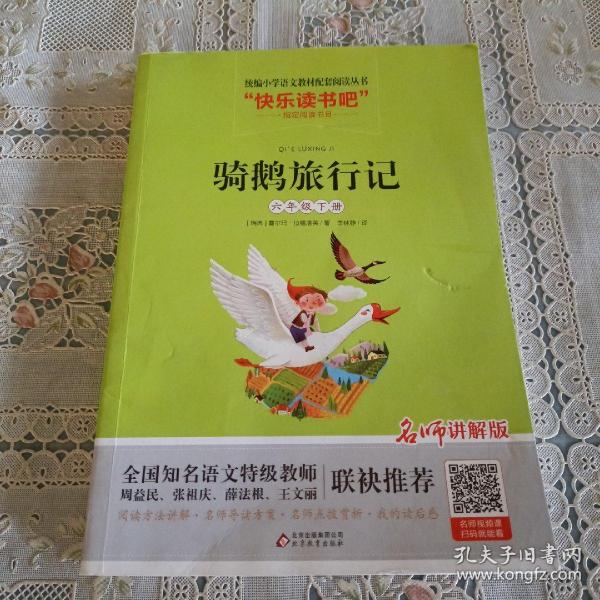 骑鹅旅行记（六年级下册名师讲解版）/“快乐读书吧”·统编小学语文教材配套阅读丛书