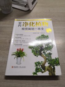 情趣生活系列：室内净化植物观赏栽培一本全