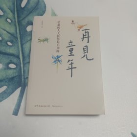 再见童年：消逝的人文世界最后回眸