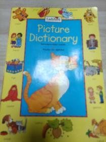 Picture
Dictionary