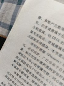 医学免疫学与微生物学（第三版）第231至240页中间书口偏上有损伤，看最后两图