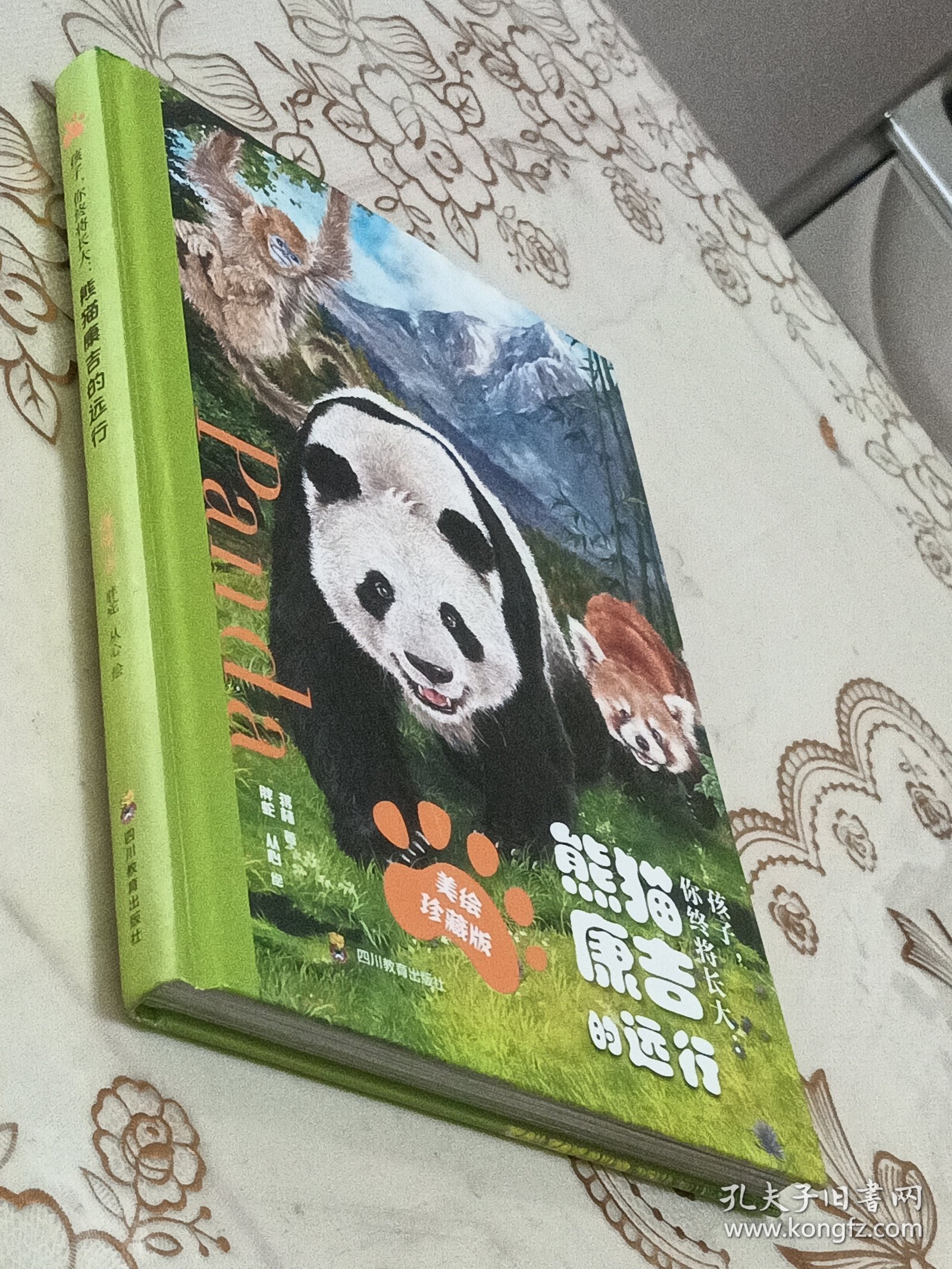 孩子你终将长大 熊猫康吉的远行