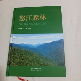 怒江森林