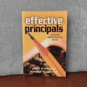 Effective Principals: Positive Principles at Work【英文原版】